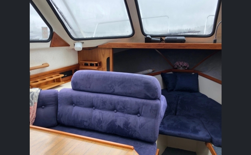 Albatross Flying 870-kuva-2